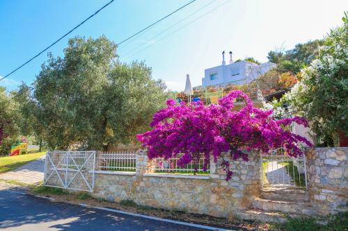 Villa Ariadni - image 4