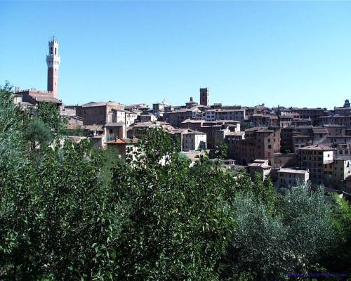 Bed & Breakfast Camollia - image 14