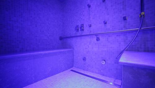 Hotel Renaissance - image 7
