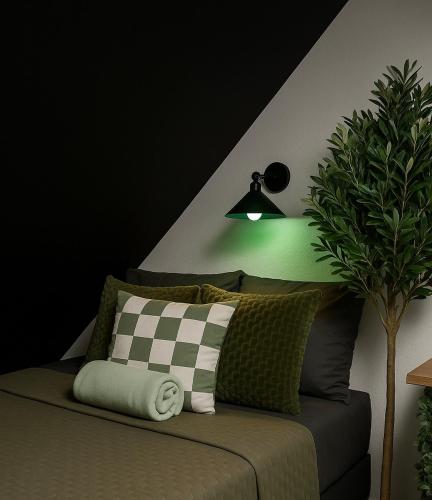 Atelier de Lisa - Location saisonnière - Forbach