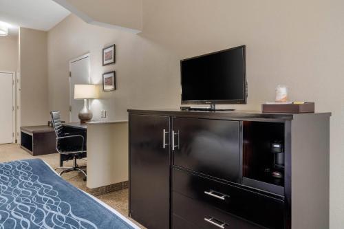 Comfort Inn & Suites Galleria - image 12