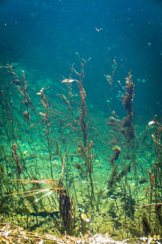 La Casa del Cura de Calatañazor - image 9