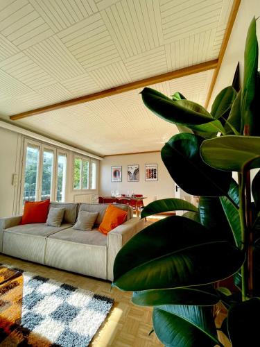 Mid Century - 3 bedrooms - Parking - 6 people, Digione (foto 9)