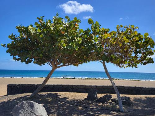 Casa Las Palmeritas in Tinajo