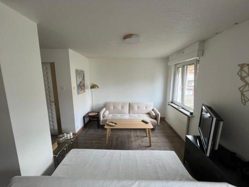 Appartement Cosy & Elégant (Appartement Cosy & Elegant) in Лінгольсхайм