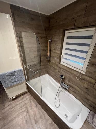 Appartement Cosy & Elégant (Appartement Cosy & Elegant) in Лінгольсхайм