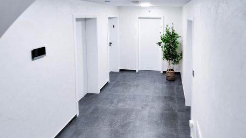 ALFA Mikroapartment Stuttgart Küche Bad l SmartTV WIFI l Porsche & Bosch l Kitchen Bath BS21A3, Stuttgart (zdjęcie 9)