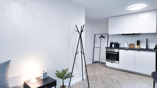 ALFA Mikroapartment Stuttgart Küche Bad l SmartTV WIFI l Porsche & Bosch l Kitchen Bath BS21A3, Stuttgart (zdjęcie 3)