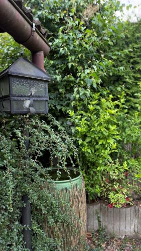 Pod Lípou - image 12