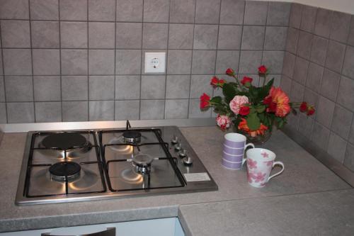 Apartment Borna in Zabrežani