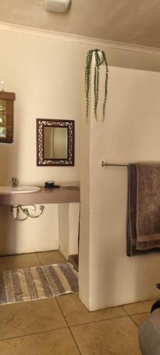 Cookhouse Cottages in Somerset East