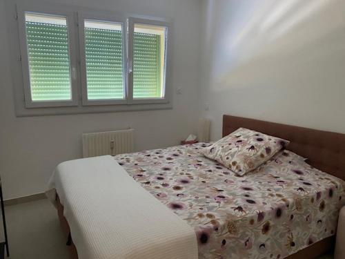 Le Rosa in Vallon de Coste