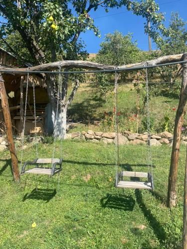 Jardim, Wooden Oasis in Arzakan