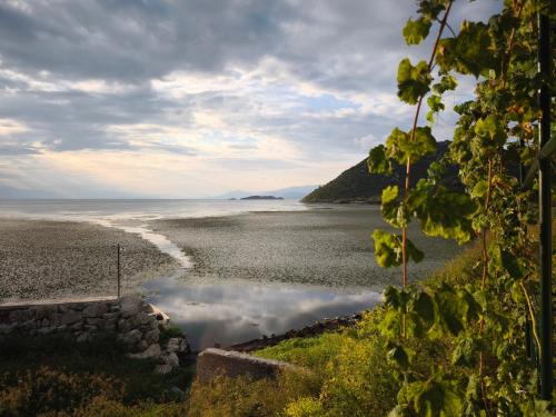 Pelican Bay House - Skadar Lake in Godinje