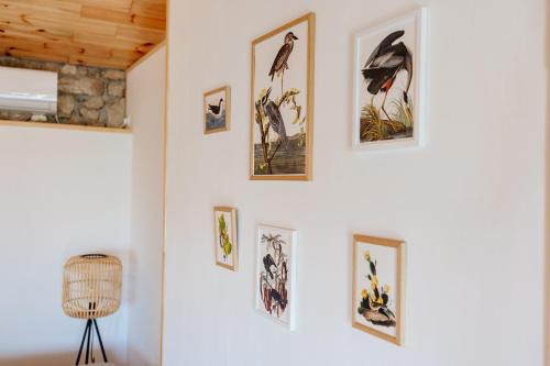 Pelican Bay House - Skadar Lake in Godinje