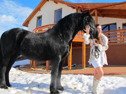 Horseback riding, Vadaszvilla in Úrkút