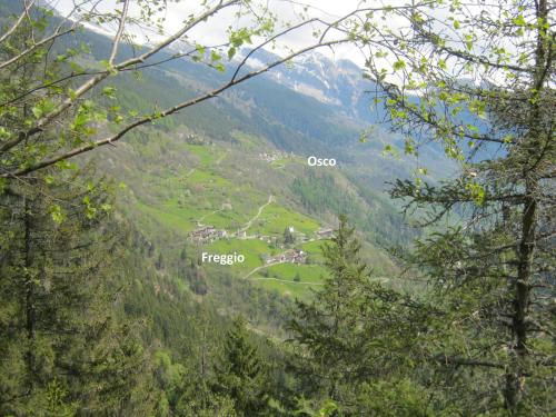 Étterem, Ristorante Lodge MARTI in Calpiogna