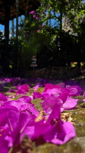 Pousada Aurora – Praia do Rosa