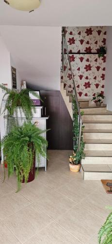 Pensiunea Rubin – Sovata, WI
