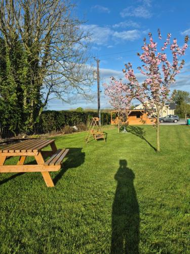 Nellies Cottage B&B & Log Cabins in Mountnugent