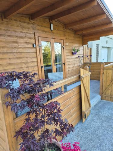 Nellies Cottage B&B & Log Cabins in Mountnugent