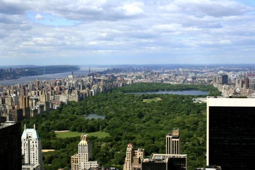 （市内中心地）