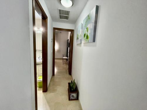 Vega House, Córdoba (fotografie 10)