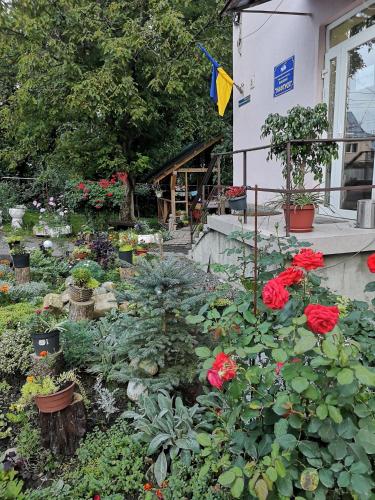 ทัศนียภาพภายนอกโรงแรม, Готель-хостел " Нафтуся" in ตรูสกาเวตส์