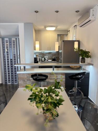 Villa Silver Novigrad with private pool in Dajla