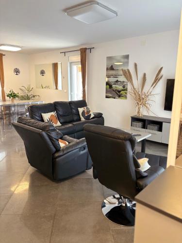 Villa Silver Novigrad with private pool in Dajla