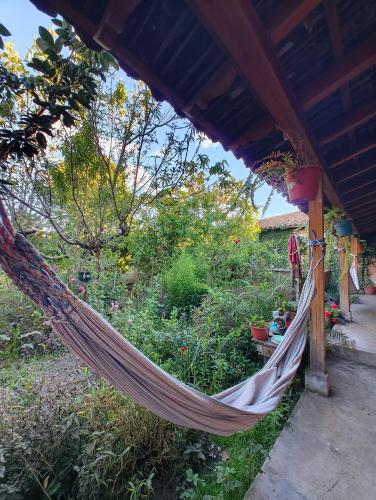 Pakarina Hospedaje Familiar in 哥塔卡奇