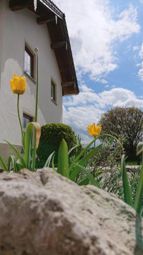 Ferienwohnung Schmied