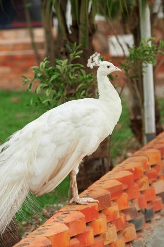 The Haven Boutique Hotel & Venue in Ejisu