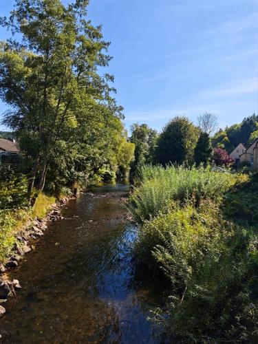 Ferienhaus Waldoase für 11 Personen und max 2 Hunde im Nationalpark Eifel in Top Lage