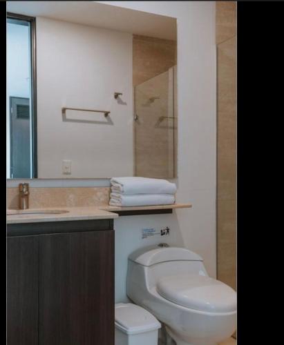 Hotel Rioverde Living Suites