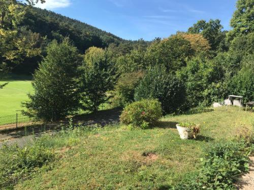 64747 Breuberg Odenwald 2 Schlafzimmer in Breuberg