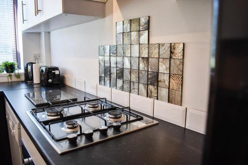 New 3 bedroom stylish home with drive & garden, Manchester (fotografie 9)