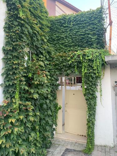 2 bedrooms, 3 beds