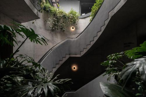 Maison México Roma in Mexico City, Mexico