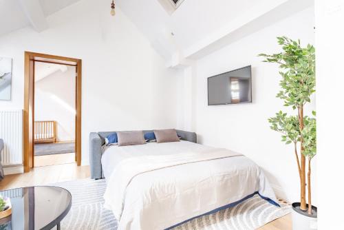Le Havre de Lumière à Etterbeek, Brussels (photo 8)