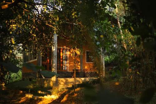 Aum Hum Homestay in Fang