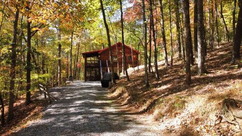 Triple Nickel Cabin