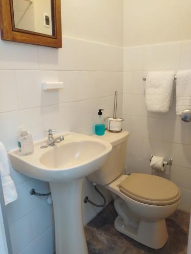 Centric private petfriendly budget apartments in Miraflores - image 4