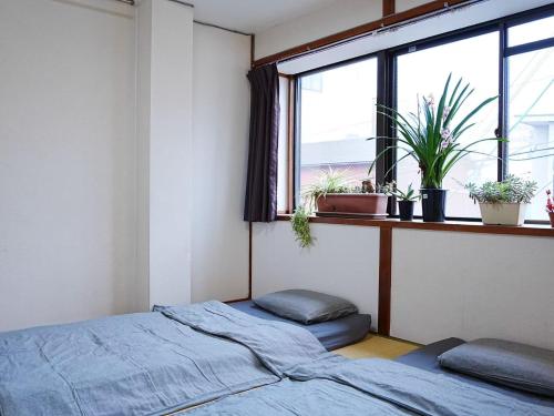 KOBE coffee hostel