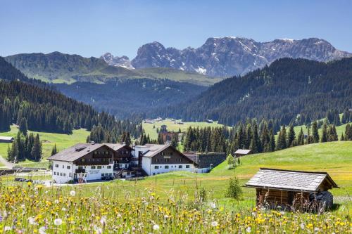 Saltria - your Alpine experience