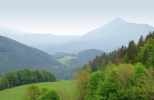 Waldblick Landhaus B&B