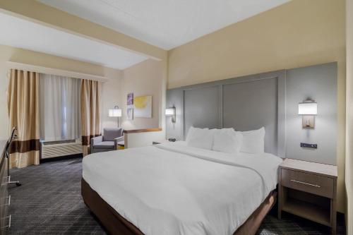 Comfort Inn Bismarck - image 13