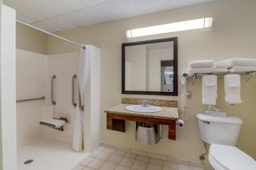 Comfort Inn Bismarck - image 7