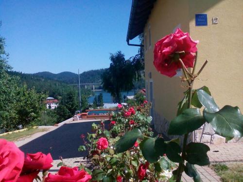  JULIJA 2 in Fužine