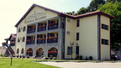 Pensiunea Alexandra & SPA in Divici